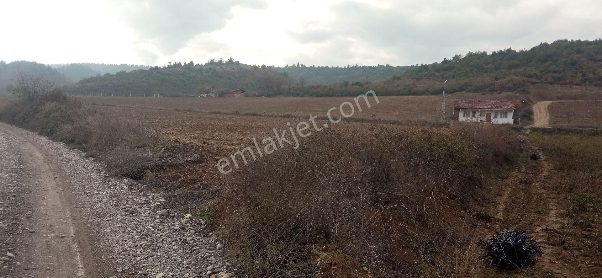 Tokat Erbaa Kuruçay Da Satılık 7.5 Dönüm Arazi - Görsel 8