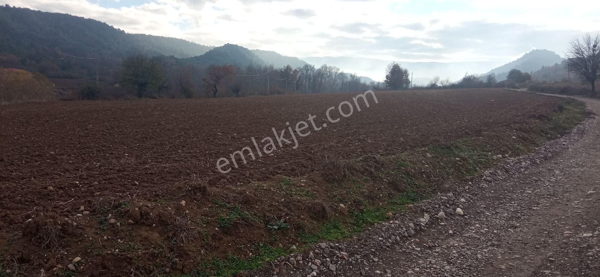 Tokat Erbaa Kuruçay Da Satılık 7.5 Dönüm Arazi - Görsel 4