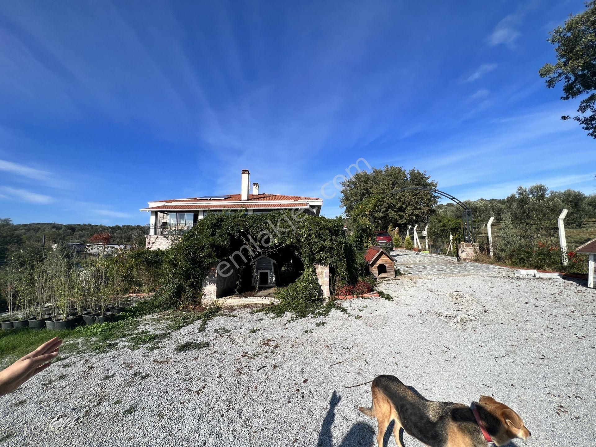 Balıkesir Burhaniye Şahinler De Satılık Muhtesem Ciftlikevi. - Görsel 19