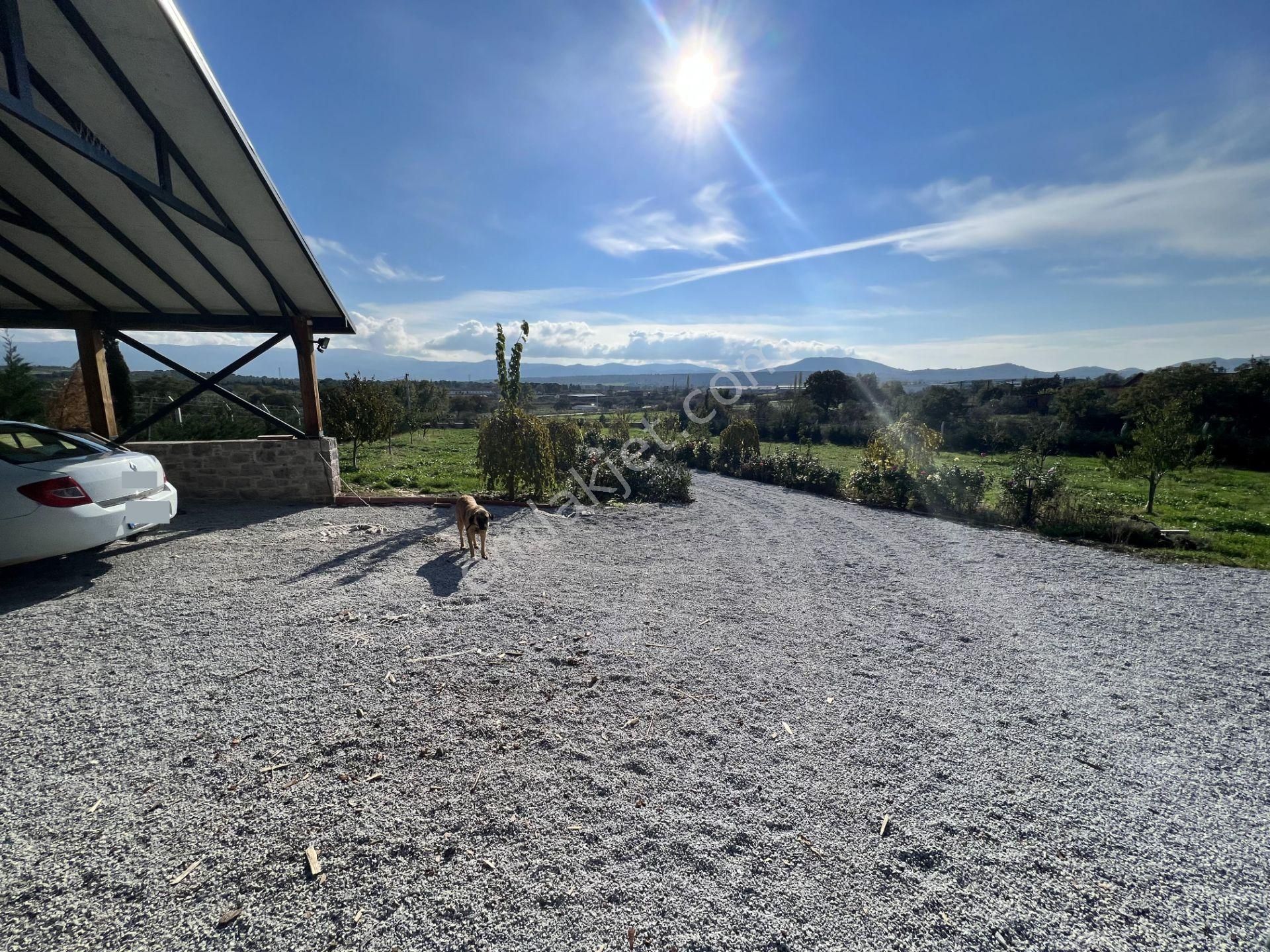 Balıkesir Burhaniye Şahinler De Satılık Muhtesem Ciftlikevi. - Görsel 33