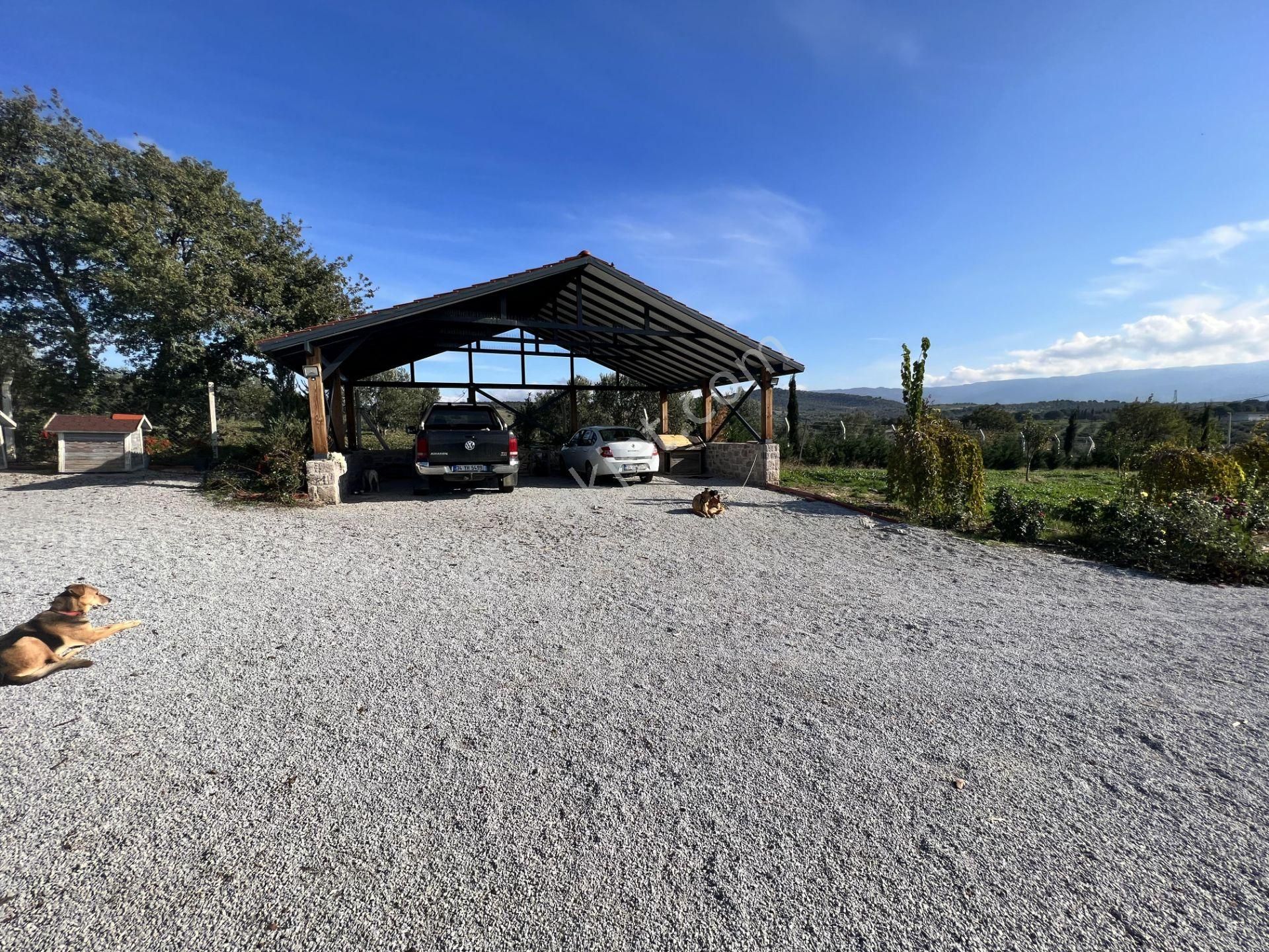 Balıkesir Burhaniye Şahinler De Satılık Muhtesem Ciftlikevi. - Görsel 30