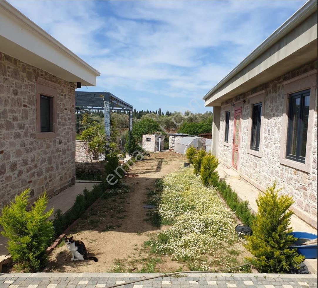 Balıkesir Burhaniye Şahinler De Satılık Muhtesem Ciftlikevi. - Görsel 27