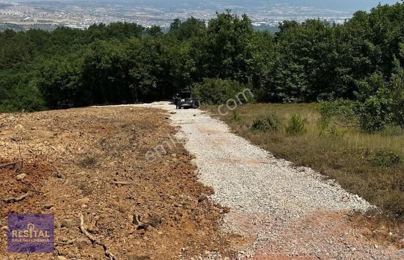 İnegöl Akıncılarda 6 Hisseli 3733 M2 Tarla - Görsel 5