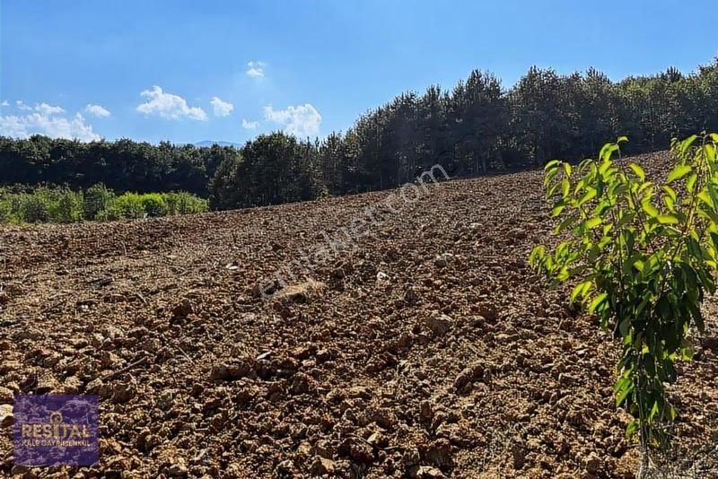 İnegöl Akıncılarda 6 Hisseli 3733 M2 Tarla - Görsel 13