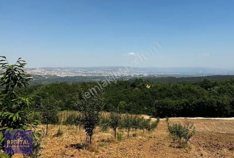 İnegöl Akıncılarda 6 Hisseli 3733 M2 Tarla - Görsel 7