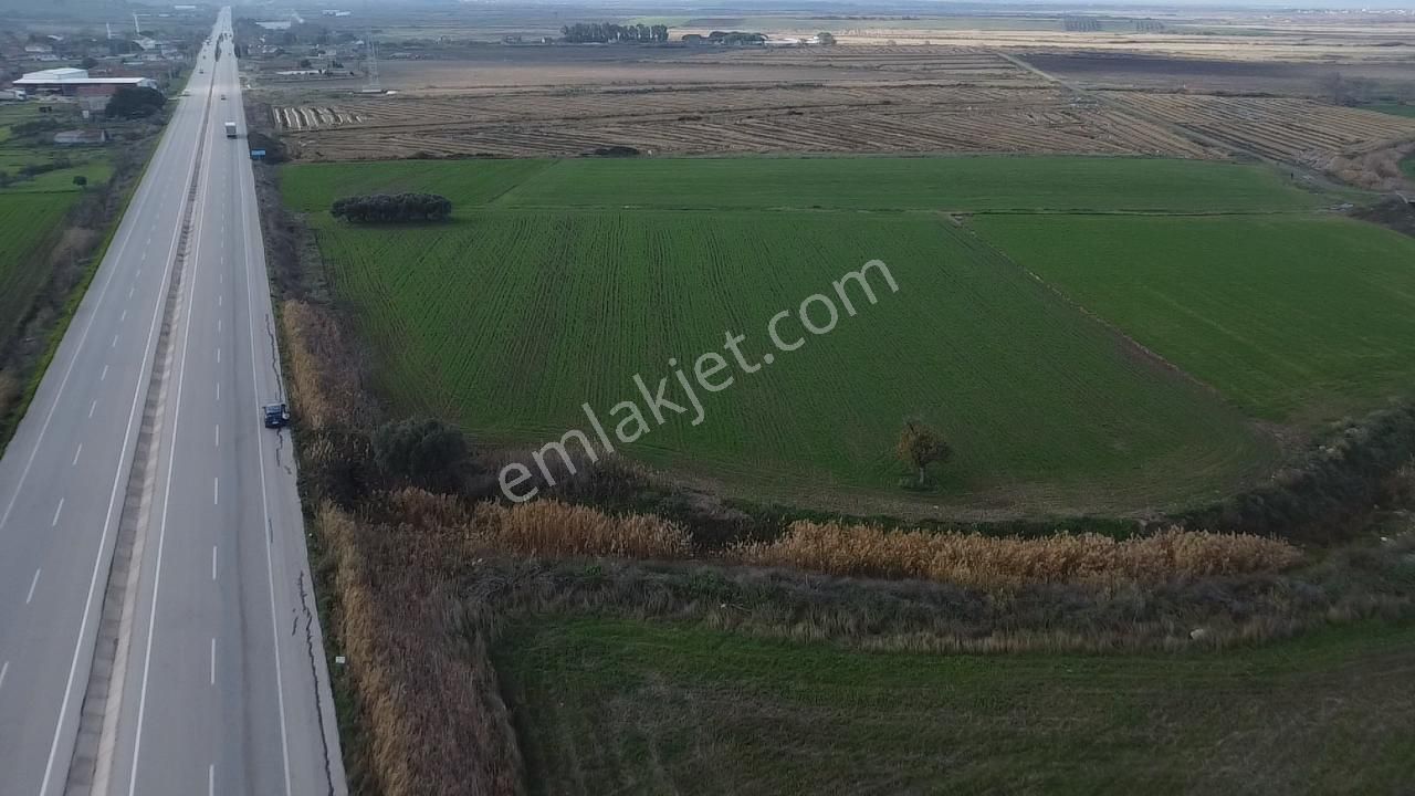 Biga Güvemalan Satılık Tarla - Görsel 5