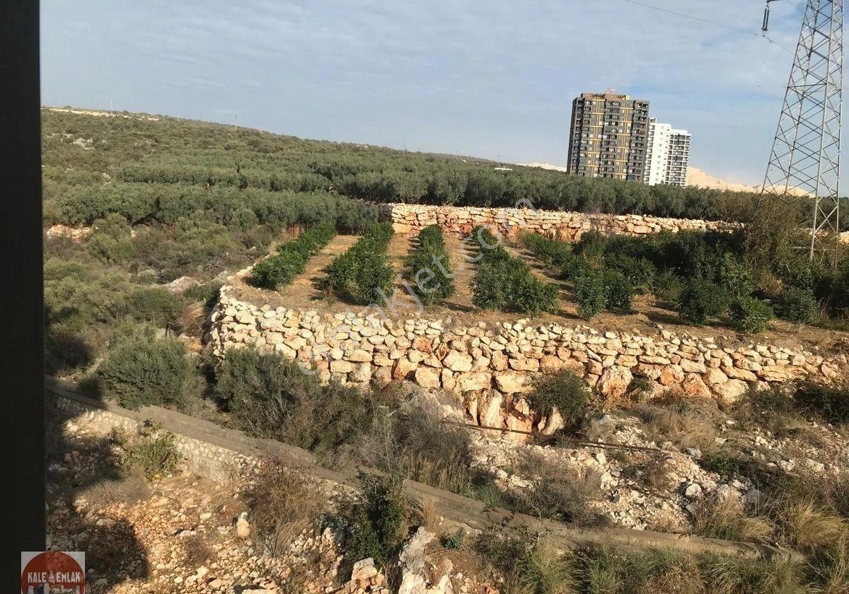 Kale Emlaktan Ayaşta Satılık-kiralık 1+1 Daireler - Görsel 15