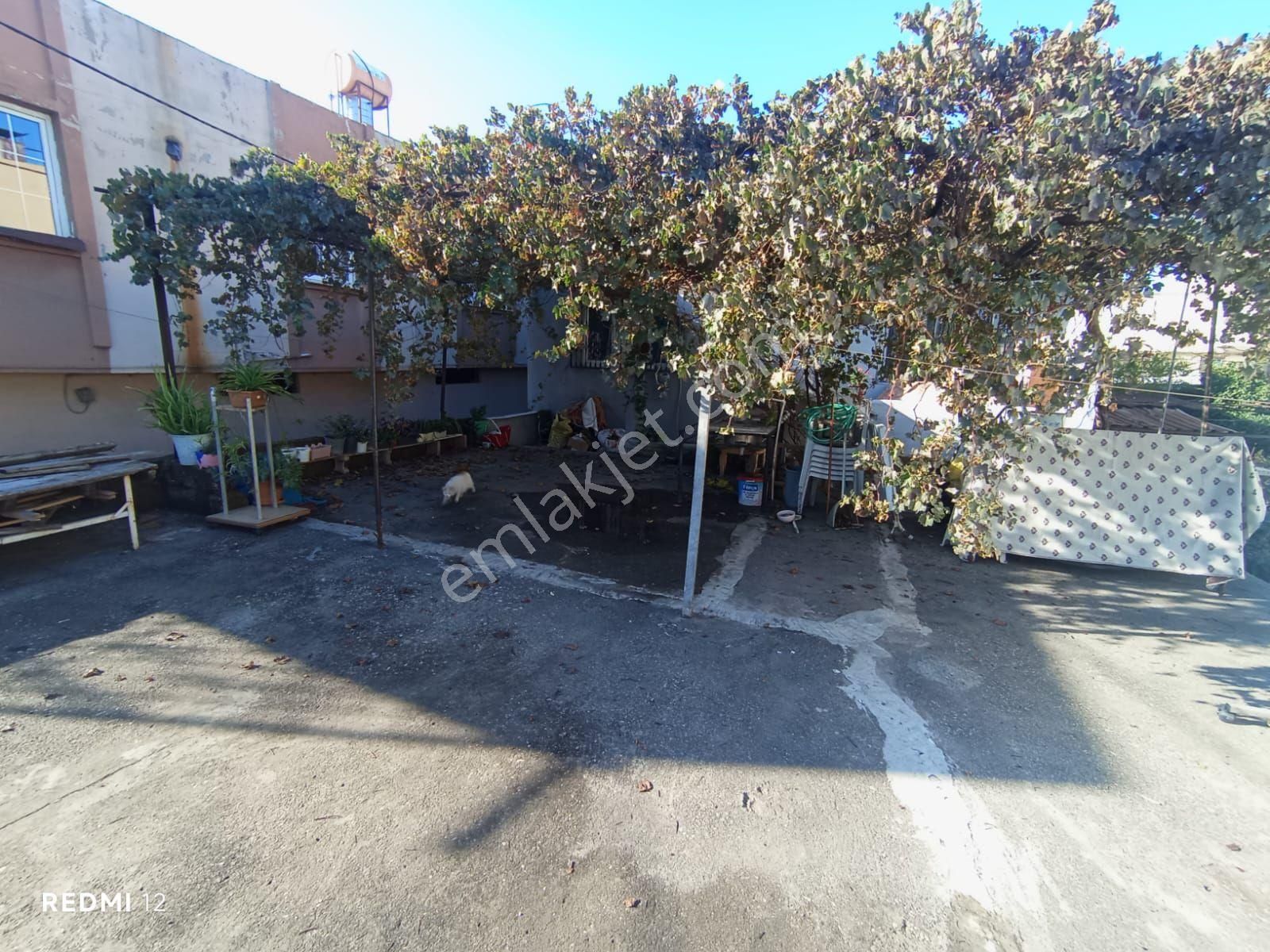 3 Ev 1 Dükkan - Görsel 7