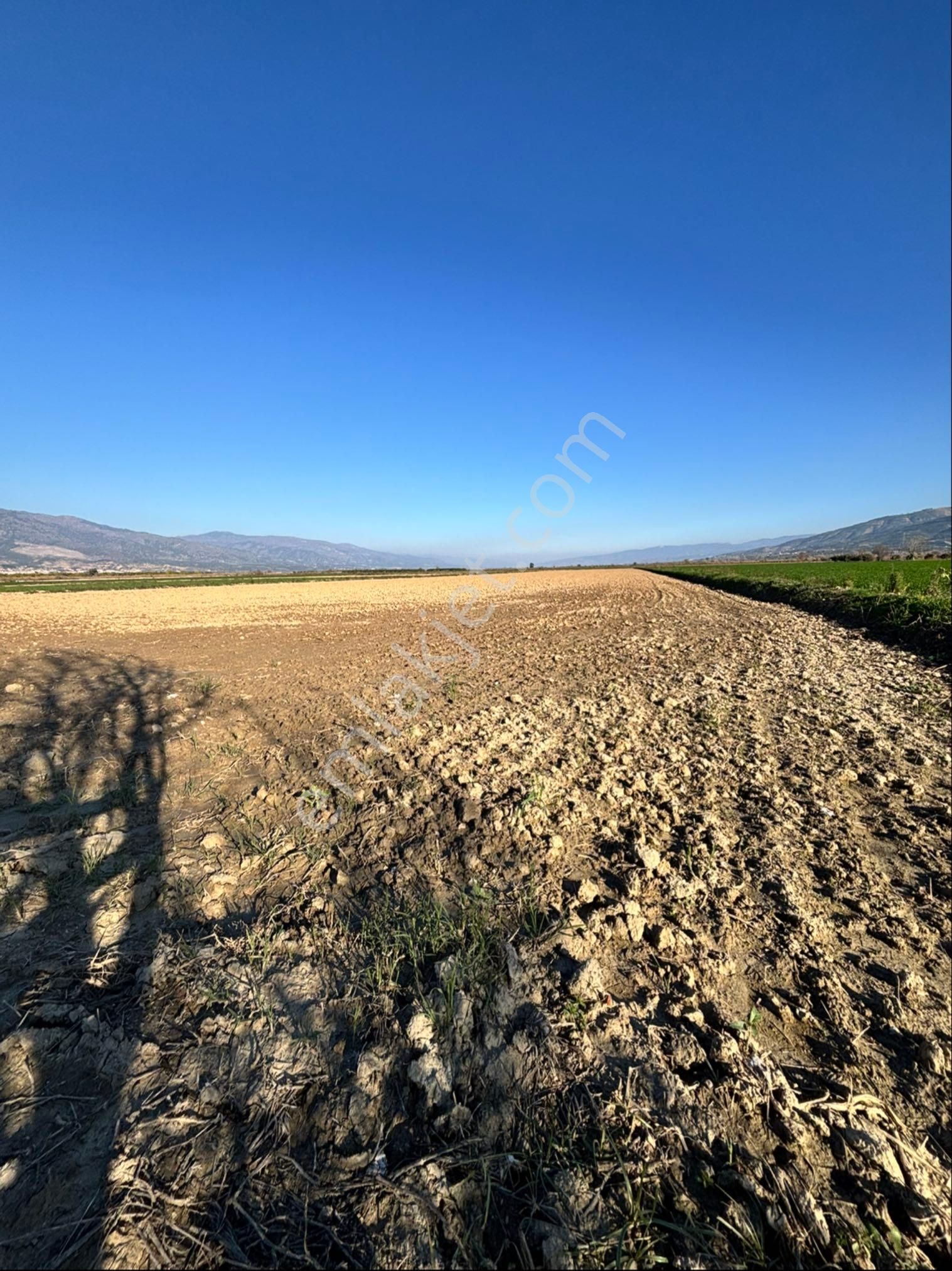 Nazilli Pirlibey Mahallesinde 9.250 M2 Acil Satılık Tarla - Görsel 15