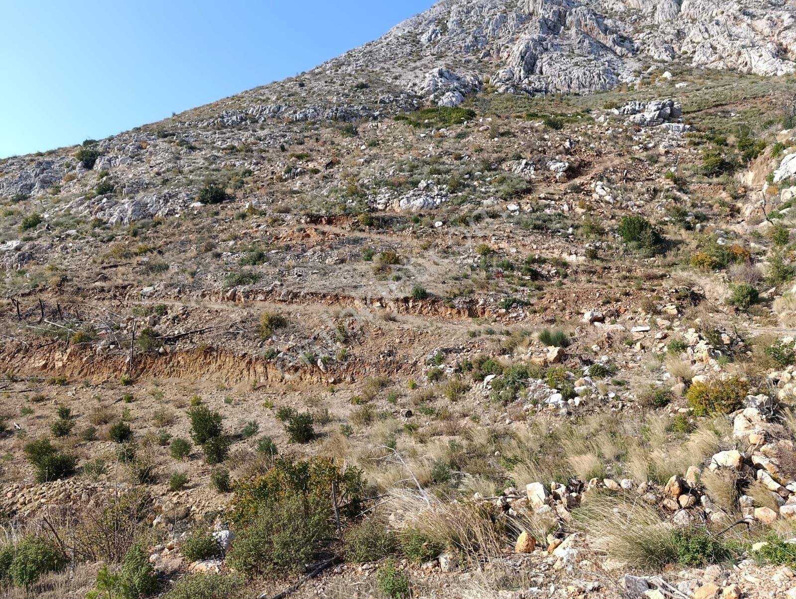 Karaseki Tapulu Hasancık Mevkisi Müstakil Tapu 887m2 - Görsel 2
