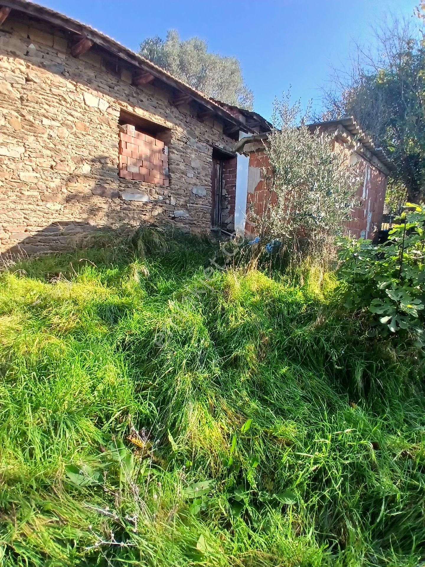 İzmir Ödemiş Kirazda 18 Dönüm Tek Tapu - Görsel 8