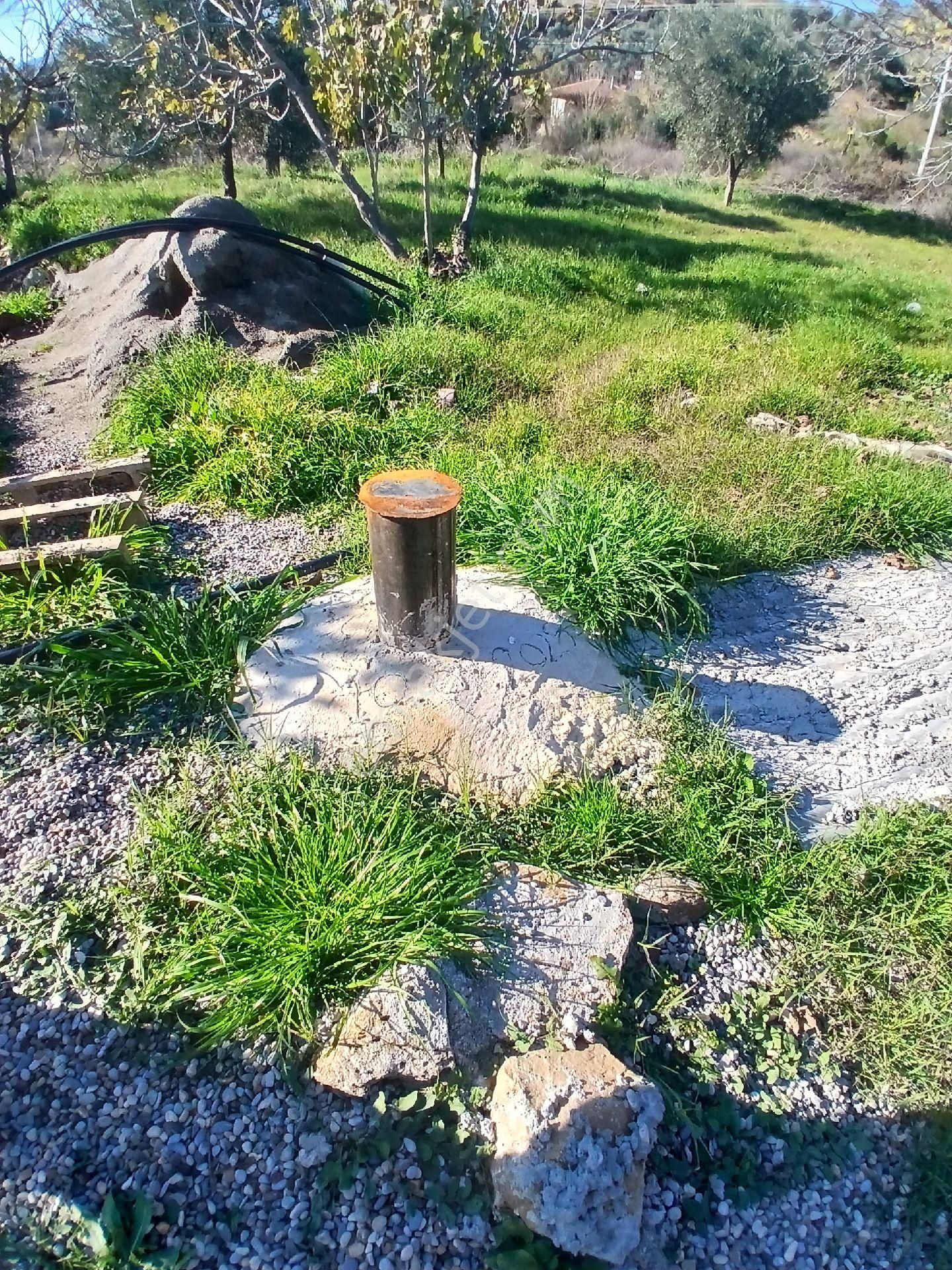 İzmir Ödemiş Kirazda 18 Dönüm Tek Tapu - Görsel 20