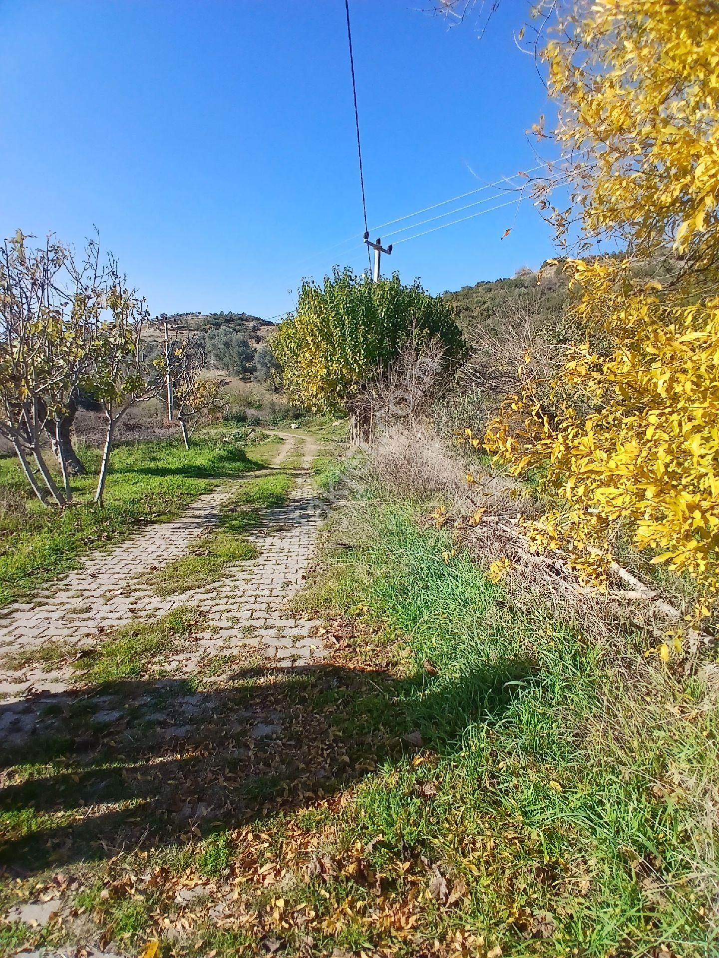 İzmir Ödemiş Kirazda 18 Dönüm Tek Tapu - Görsel 3