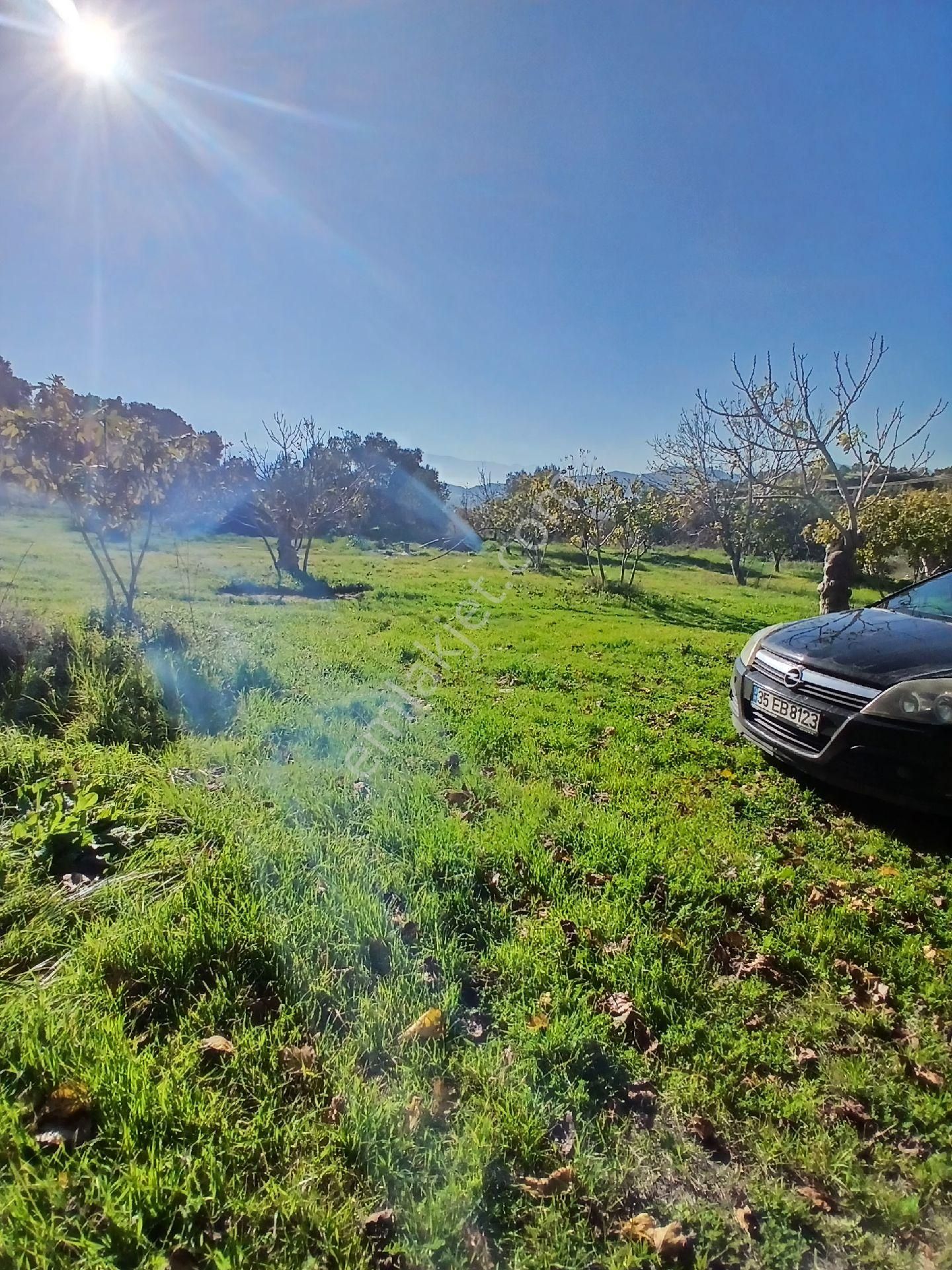 İzmir Ödemiş Kirazda 18 Dönüm Tek Tapu - Görsel 12