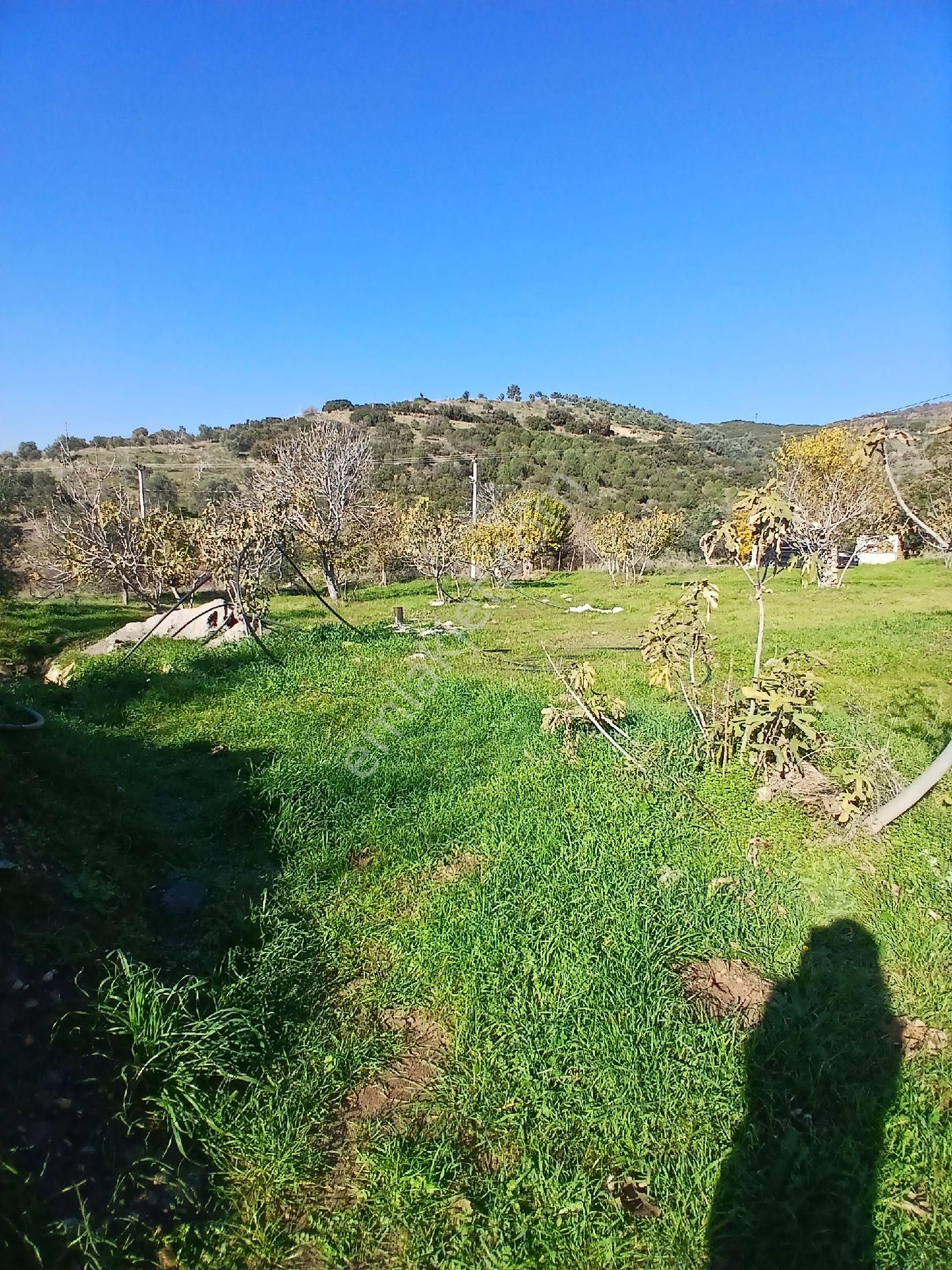 İzmir Ödemiş Kirazda 18 Dönüm Tek Tapu - Görsel 16