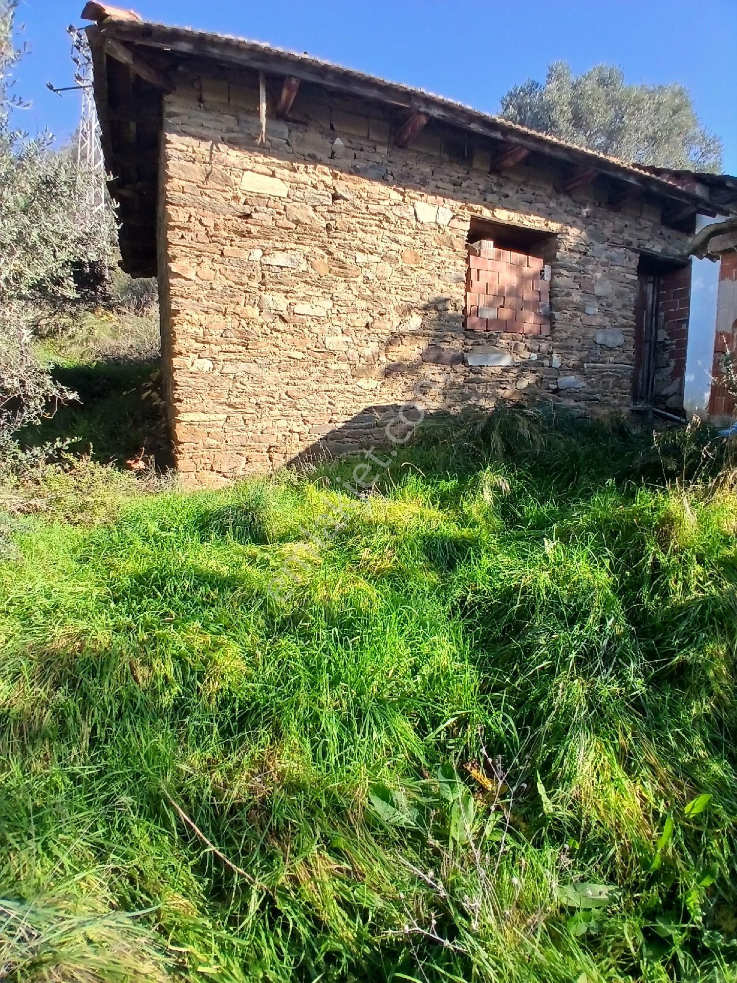 İzmir Ödemiş Kirazda 18 Dönüm Tek Tapu - Görsel 9