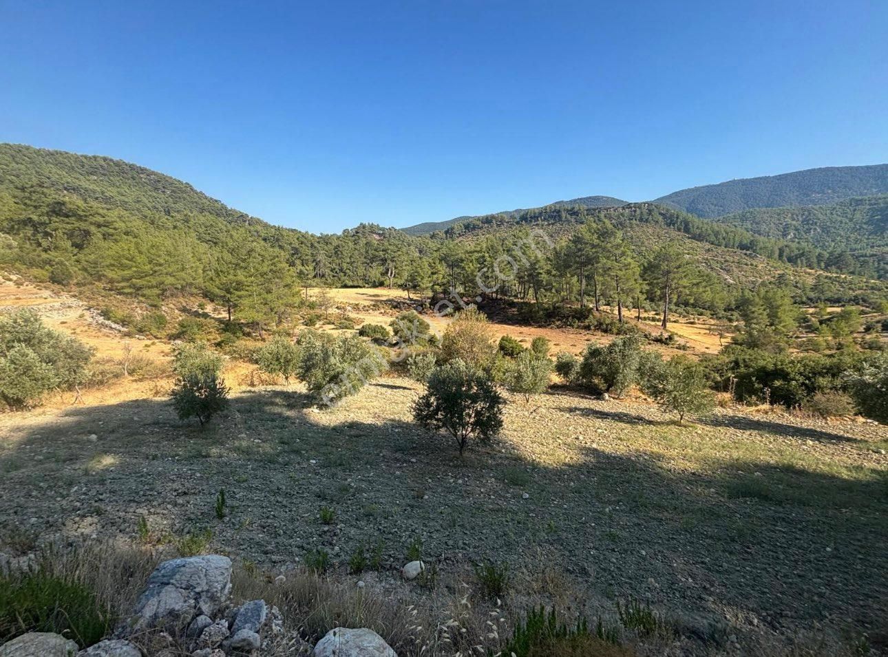 Antalya Kaş Hacıoğlan’da 460,75 M² Satılık Tarla