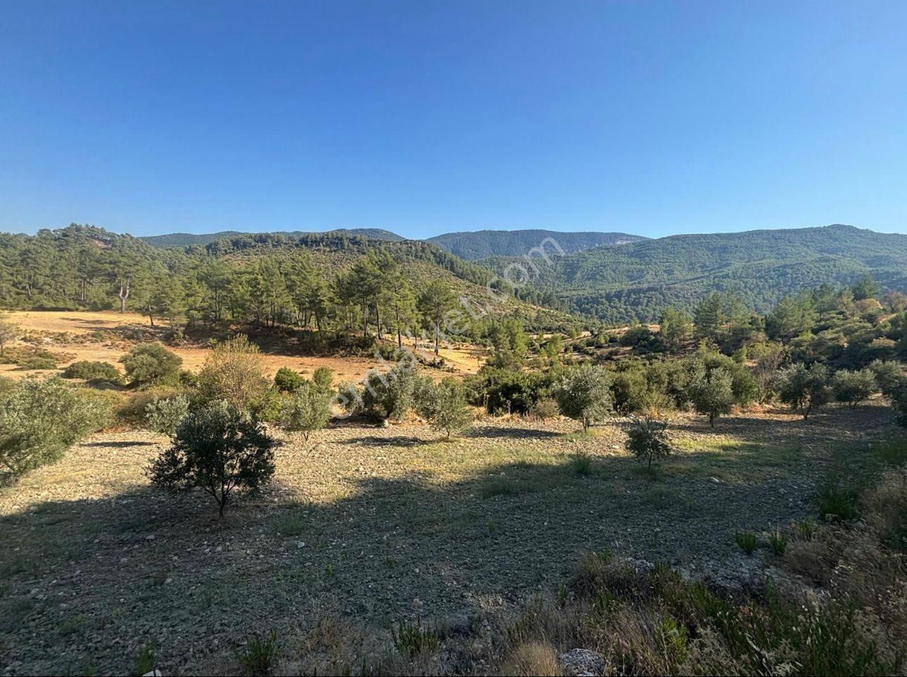 Antalya Kaş Hacıoğlan’da 460,75 M² Satılık Tarla - Görsel 4