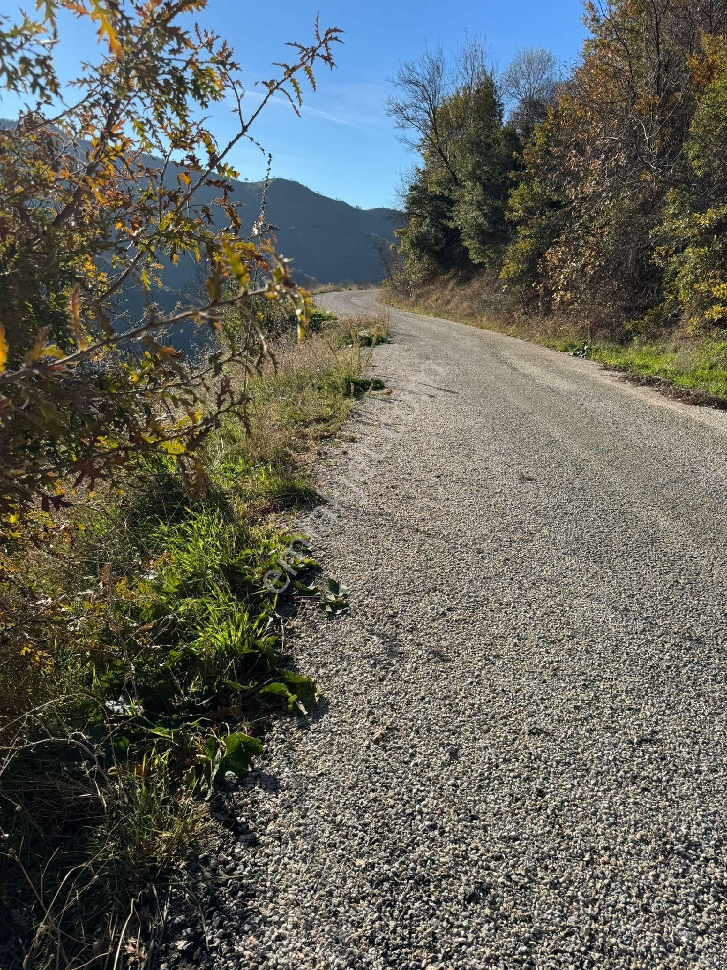 İzmir Tire Büyükkemerdere'de Asfalt Yola Cepheli 364 M2 Uygun Tarla. Açıklamayı Okuyunuz. - Görsel 7