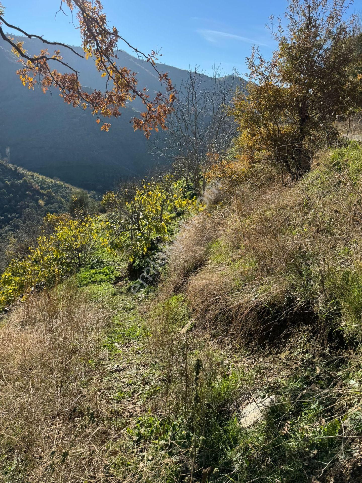 İzmir Tire Büyükkemerdere'de Asfalt Yola Cepheli 364 M2 Uygun Tarla. Açıklamayı Okuyunuz. - Görsel 6