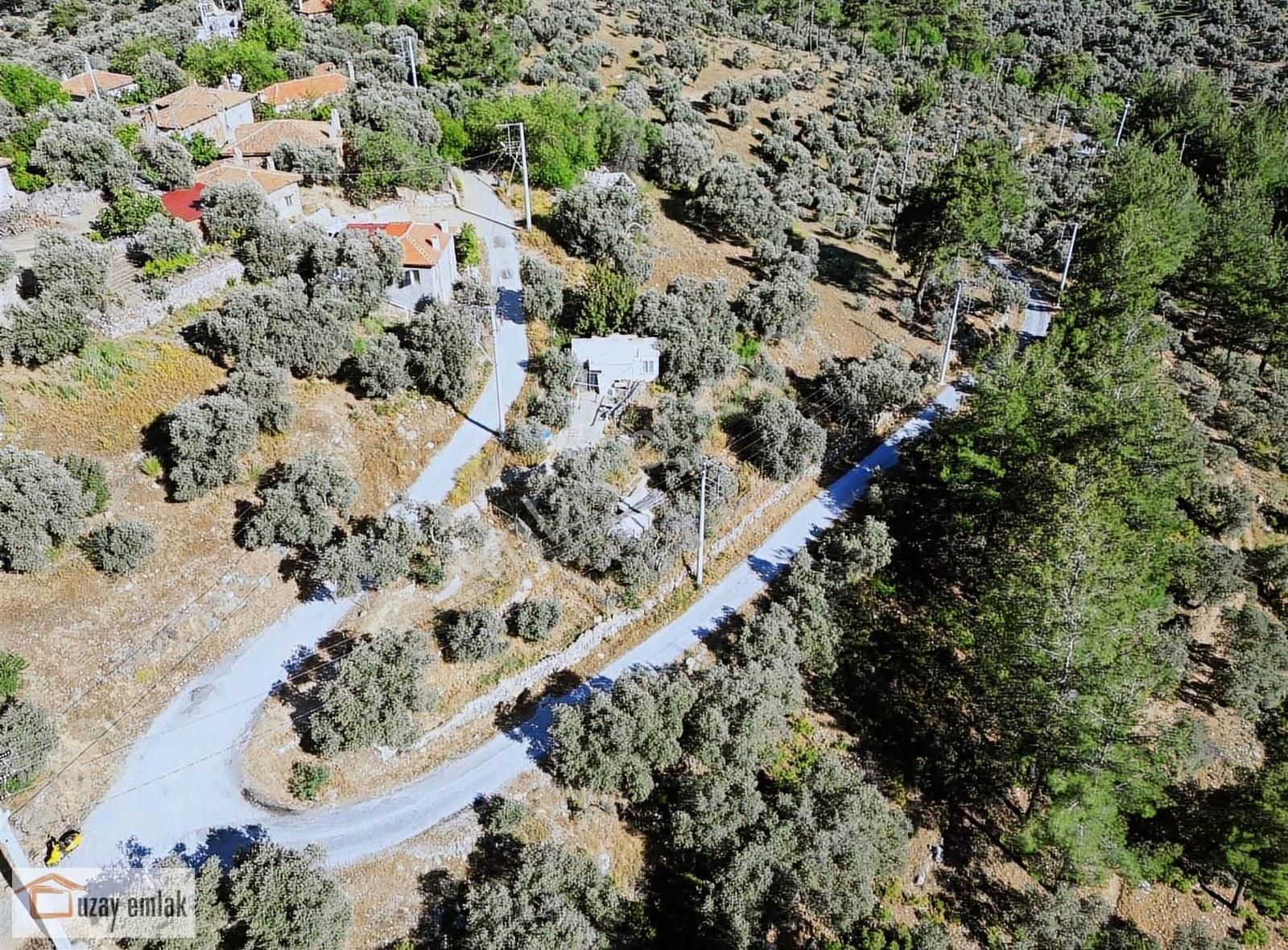 Milas Yusufca Mahallesinde Satılık Arsa - Görsel 16