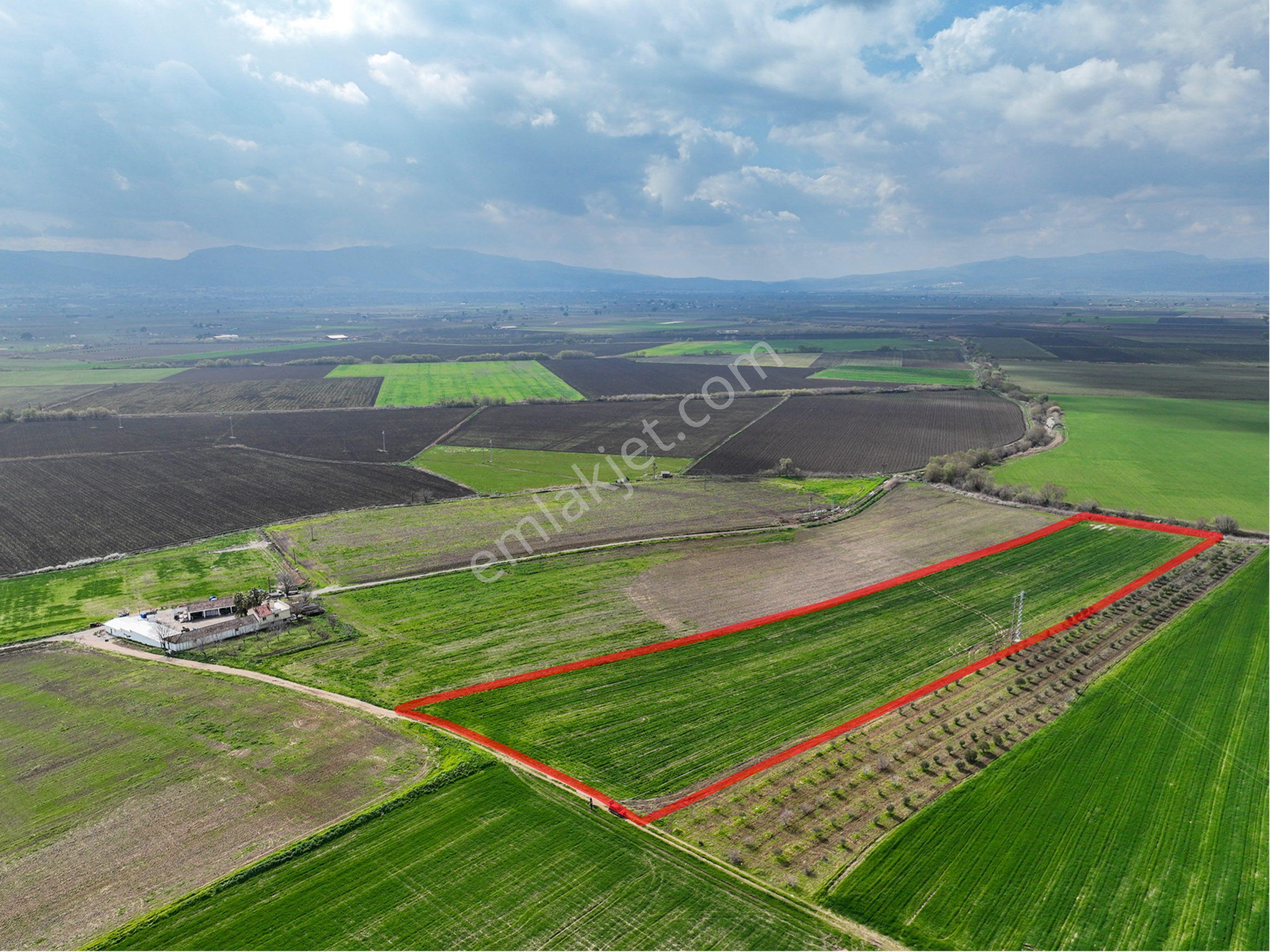 Manisa Şehzadeler Veziroğlu’ Nda Satılık Tarlamız - Görsel 3