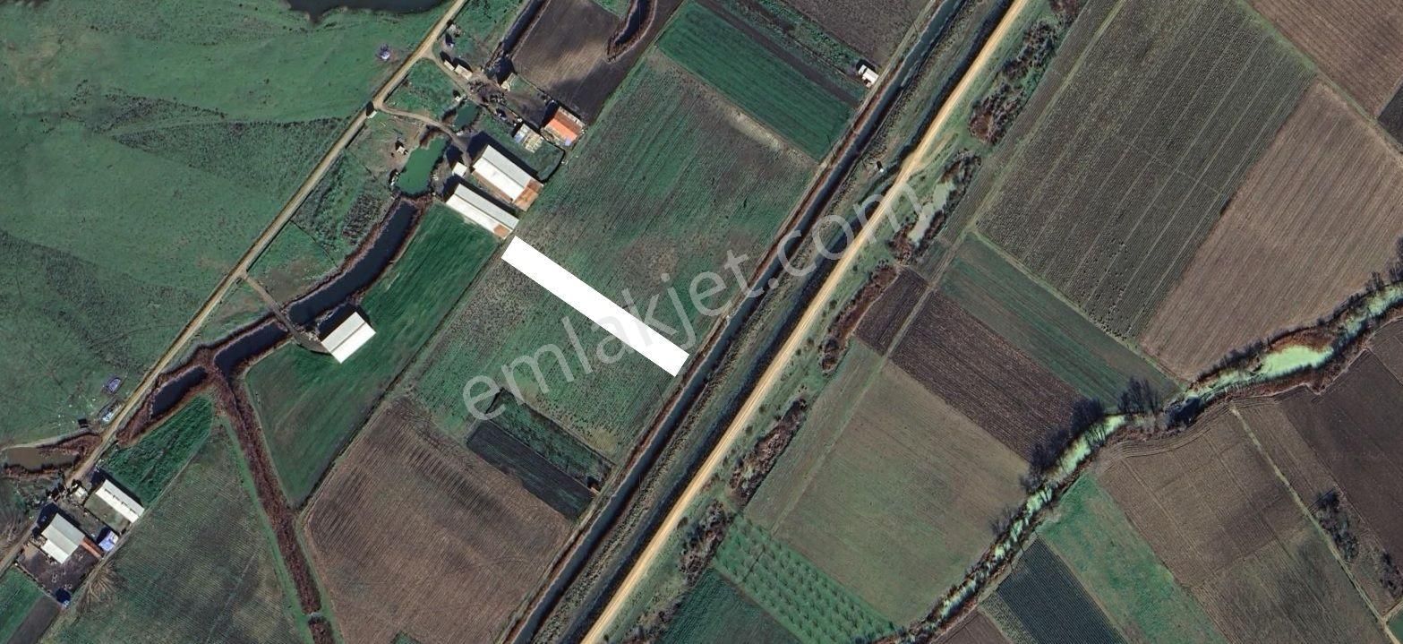 Bursa Karacabey Canbalı'da Resmi Yolu Olan Düz Zemin Tarla