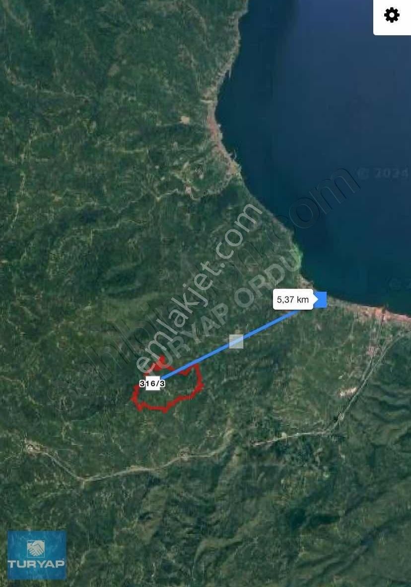 Ordu Perşembe Bekirli Deniz Manzaralı 628 M2 Bağ Bahçe