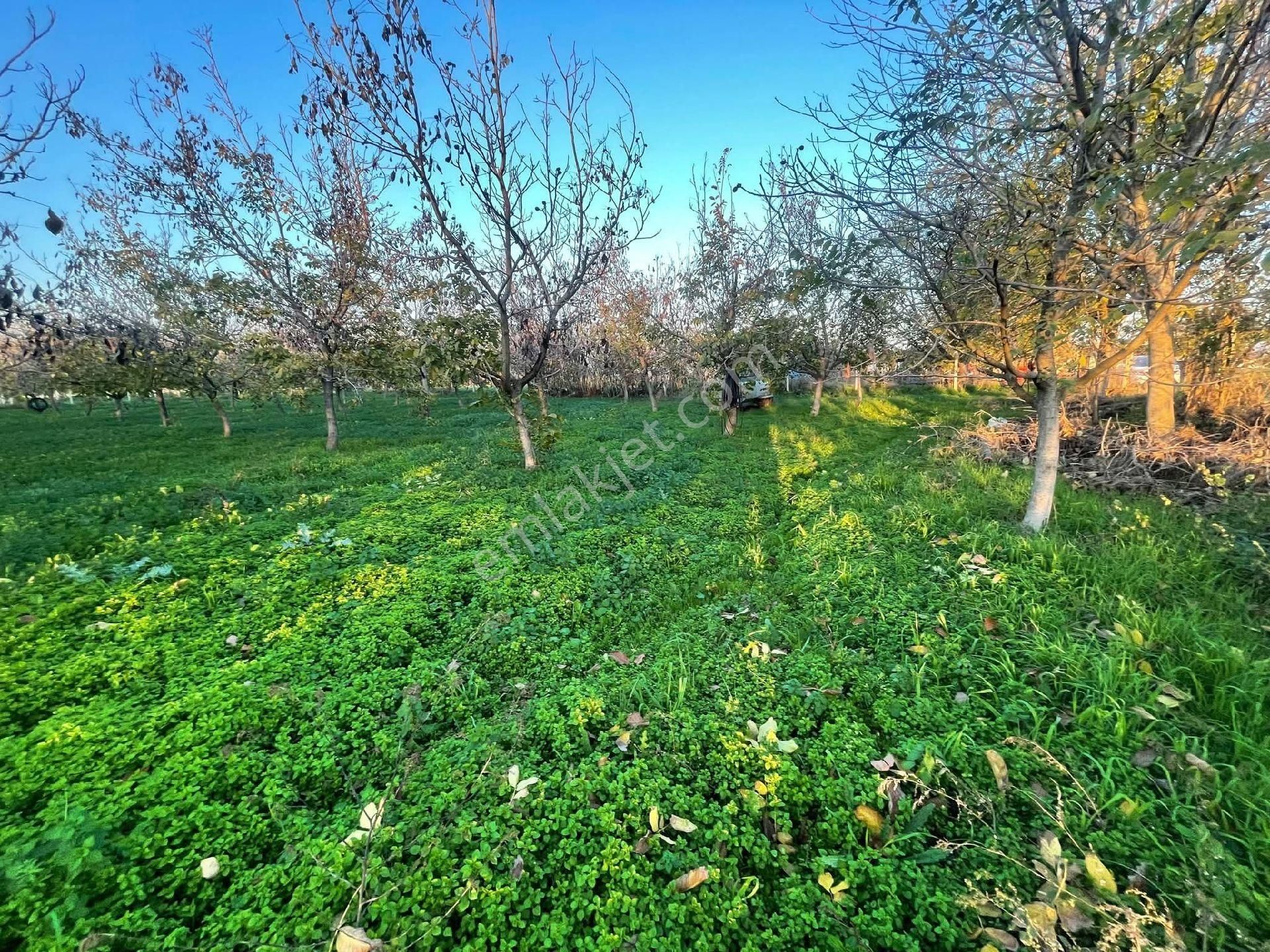 Muhteşem Konum Tarça - Görsel 6