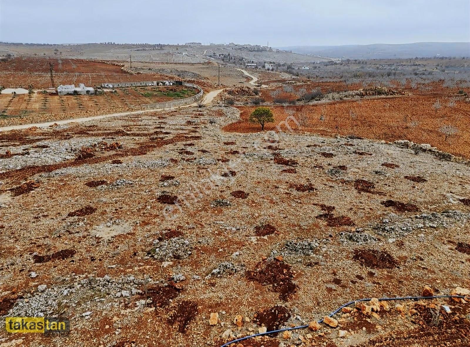 Tuğlu Yatırımlık Ve Bağ Evine Uygun Muhteşem Konum Satılık Arazi - Görsel 19