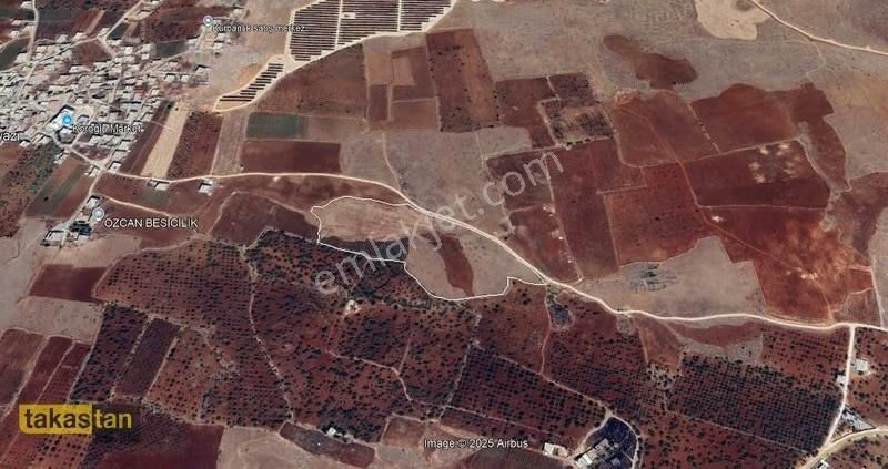 Tuğlu Yatırımlık Ve Bağ Evine Uygun Muhteşem Konum Satılık Arazi - Görsel 14