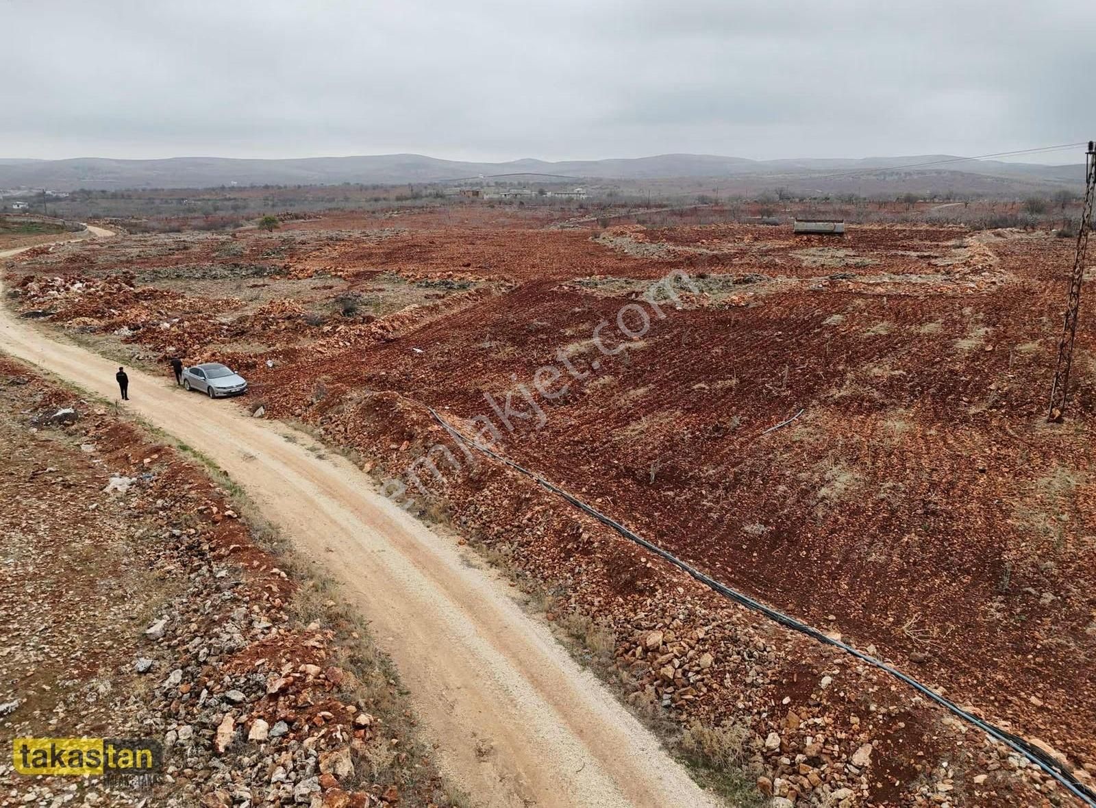 Tuğlu Yatırımlık Ve Bağ Evine Uygun Muhteşem Konum Satılık Arazi - Görsel 2