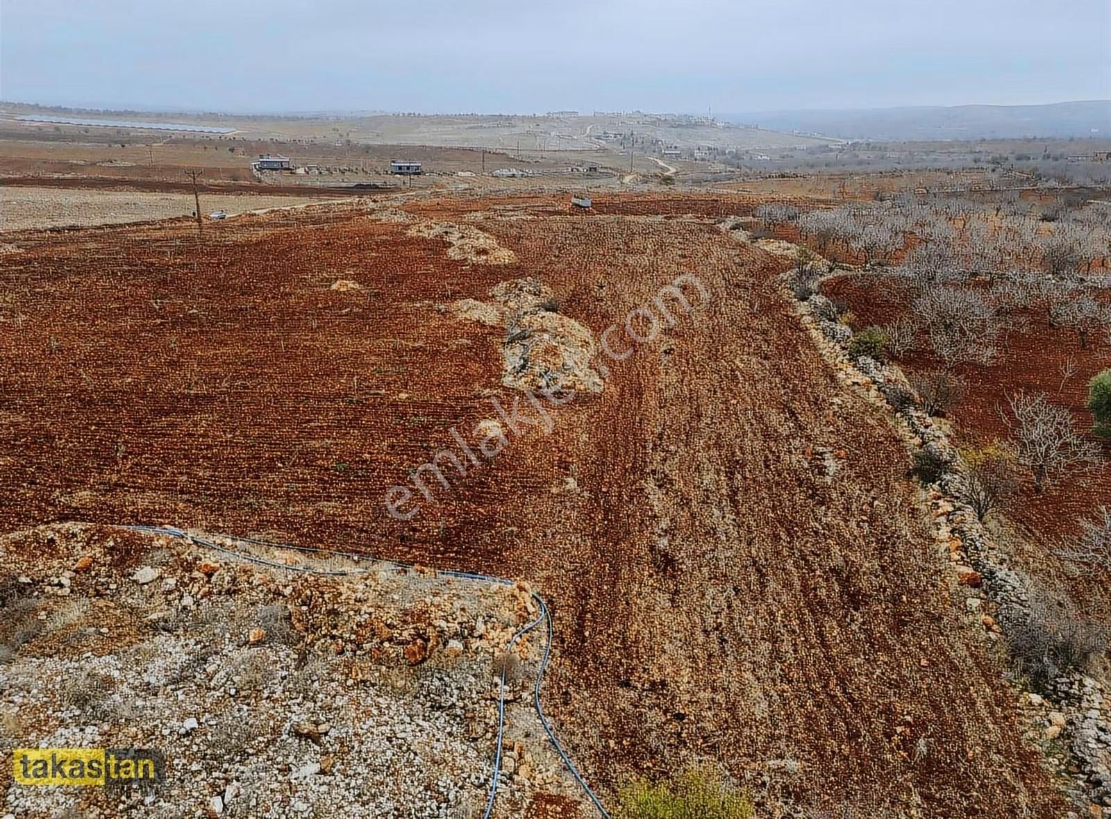 Tuğlu Yatırımlık Ve Bağ Evine Uygun Muhteşem Konum Satılık Arazi - Görsel 8
