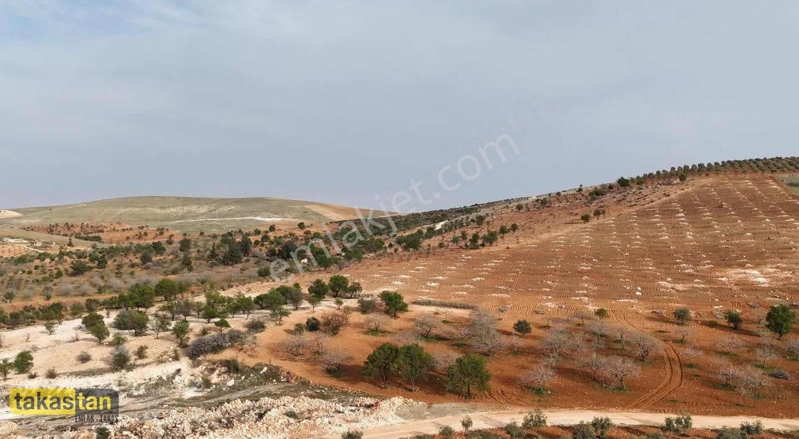 Bilek Muhteşem Konumda Yatırım Ve Bağ Evine Uygun Arazi - Görsel 7