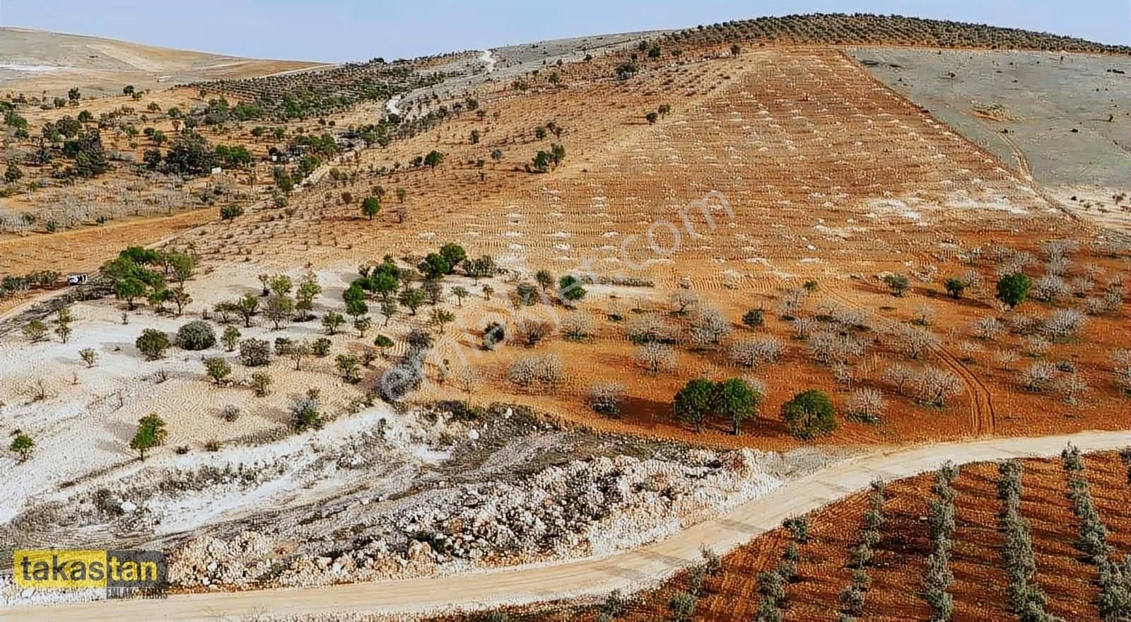 Bilek Muhteşem Konumda Yatırım Ve Bağ Evine Uygun Arazi - Görsel 29
