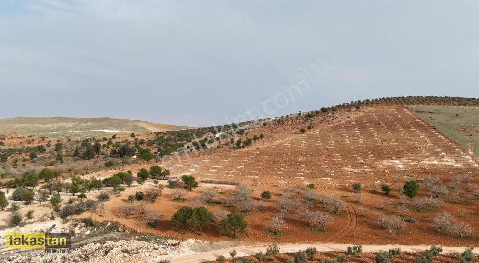 Bilek Muhteşem Konumda Yatırım Ve Bağ Evine Uygun Arazi - Görsel 9