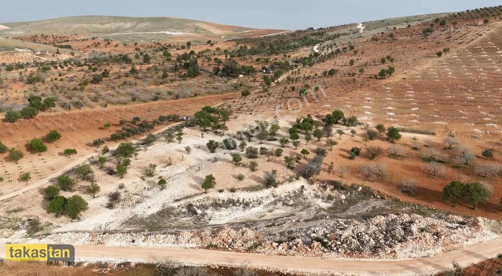 Bilek Muhteşem Konumda Yatırım Ve Bağ Evine Uygun Arazi - Görsel 10