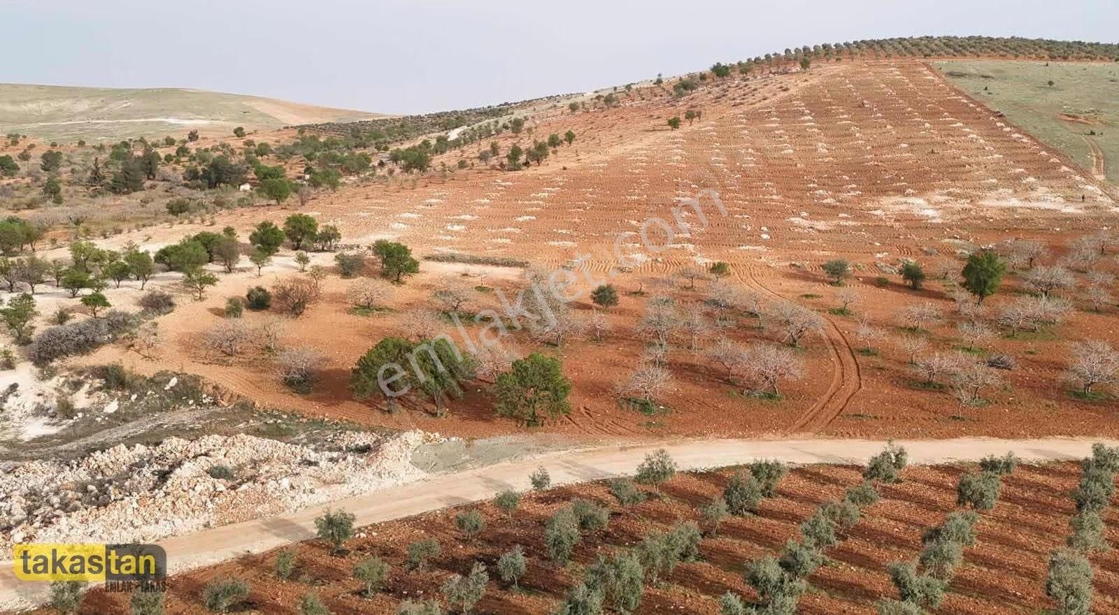 Bilek Muhteşem Konumda Yatırım Ve Bağ Evine Uygun Arazi - Görsel 19