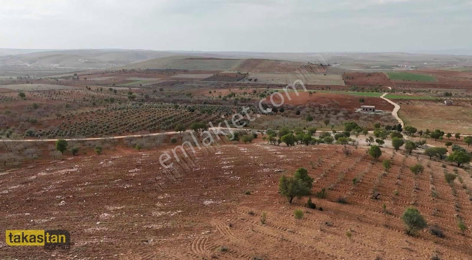 Bilek Muhteşem Konumda Yatırım Ve Bağ Evine Uygun Arazi