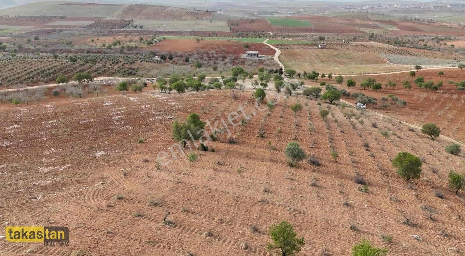 Bilek Muhteşem Konumda Yatırım Ve Bağ Evine Uygun Arazi - Görsel 28