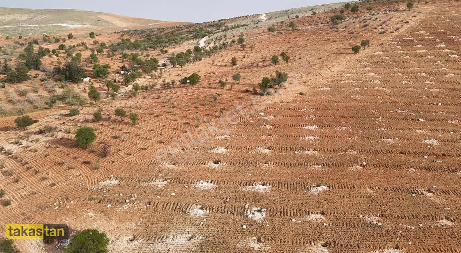 Bilek Muhteşem Konumda Yatırım Ve Bağ Evine Uygun Arazi - Görsel 26
