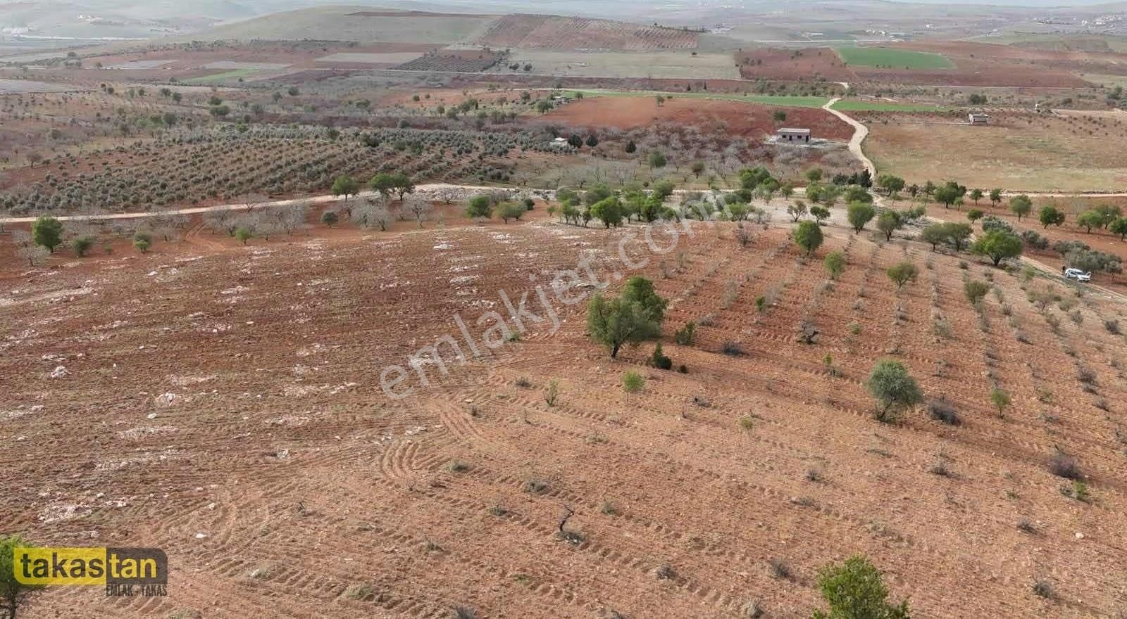 Bilek Muhteşem Konumda Yatırım Ve Bağ Evine Uygun Arazi - Görsel 15