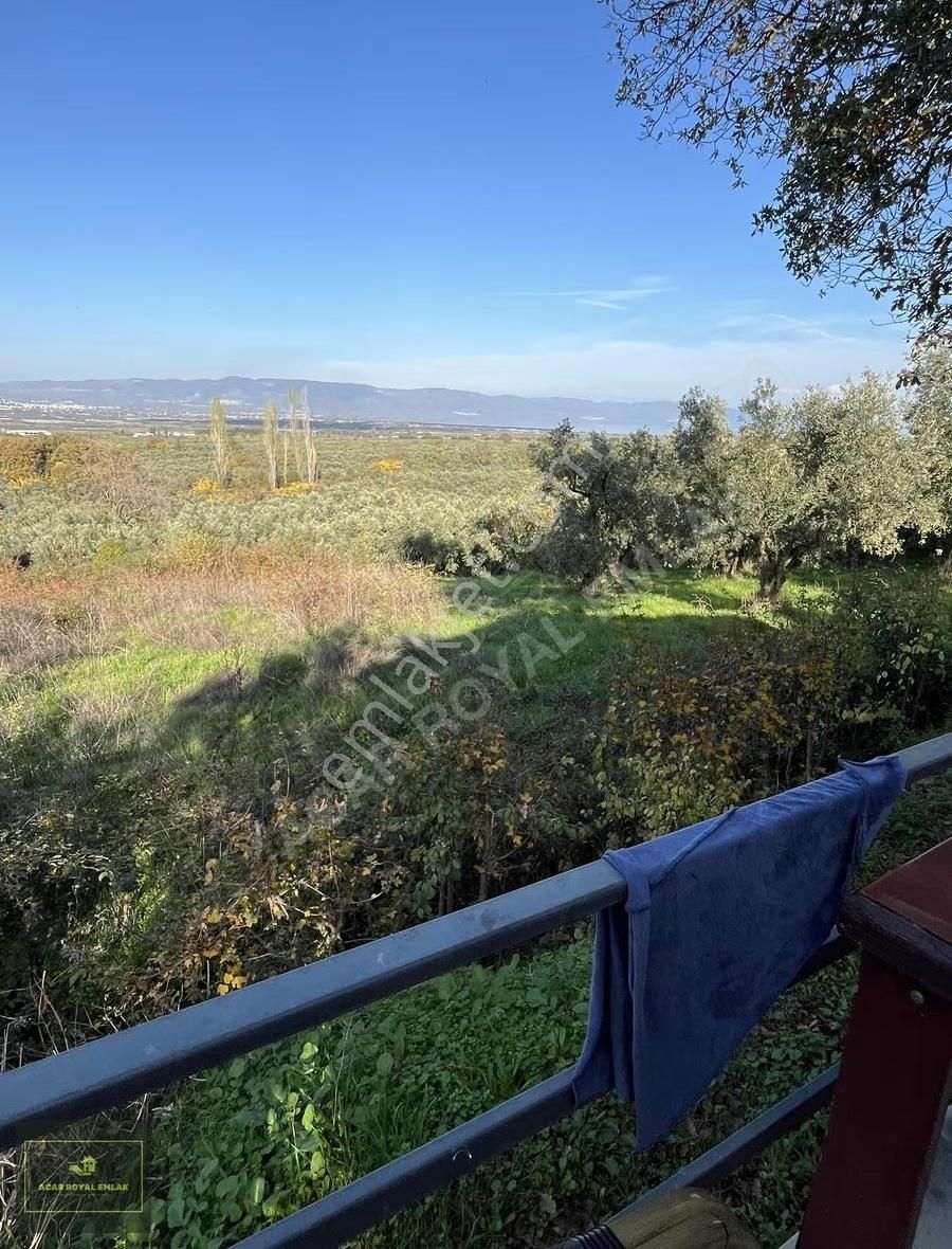 Acar Royal'den Gürlede Asfalt Kenarı Hobi Bahçesi - Görsel 26