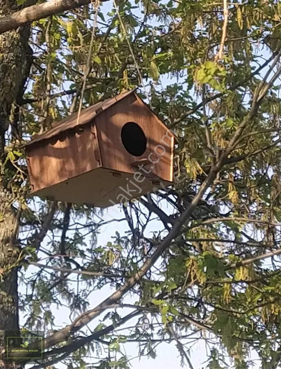 Acar Royal'den Gürlede Asfalt Kenarı Hobi Bahçesi - Görsel 3