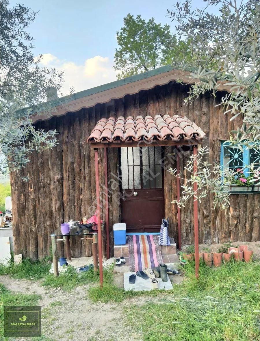 Acar Royal'den Gürlede Asfalt Kenarı Hobi Bahçesi - Görsel 35