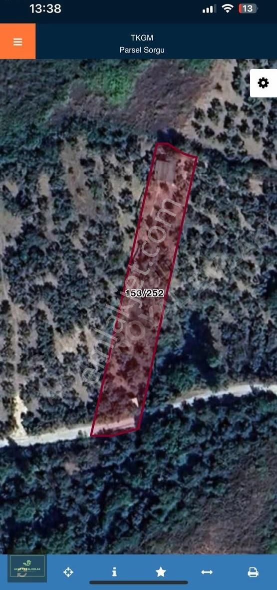 Acar Royal'den Gürlede Asfalt Kenarı Hobi Bahçesi - Görsel 34