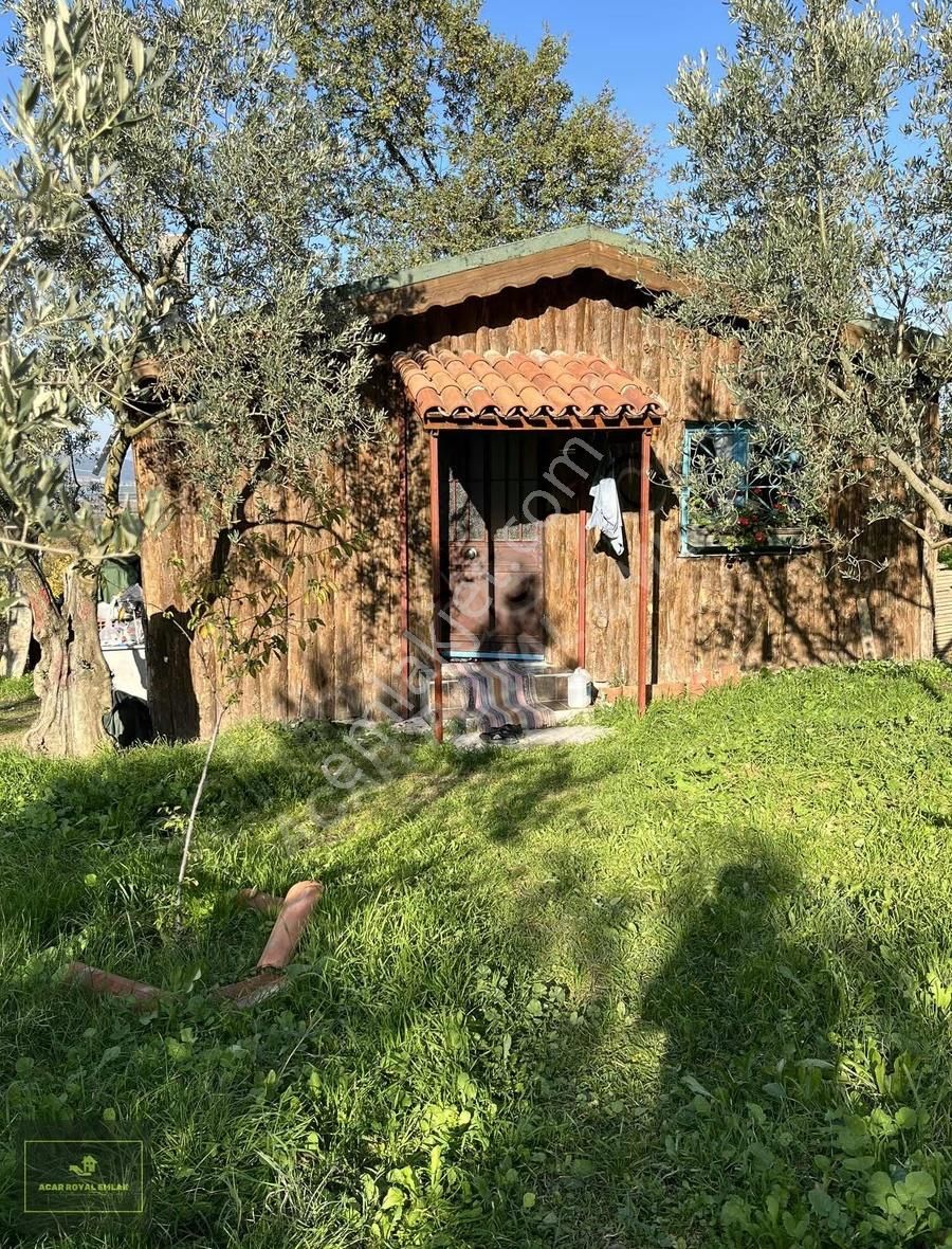 Acar Royal'den Gürlede Asfalt Kenarı Hobi Bahçesi