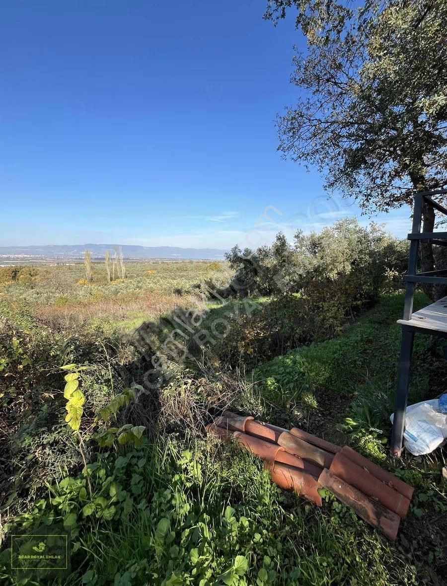 Acar Royal'den Gürlede Asfalt Kenarı Hobi Bahçesi - Görsel 17