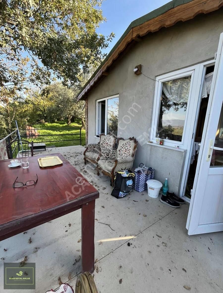 Acar Royal'den Gürlede Asfalt Kenarı Hobi Bahçesi - Görsel 19