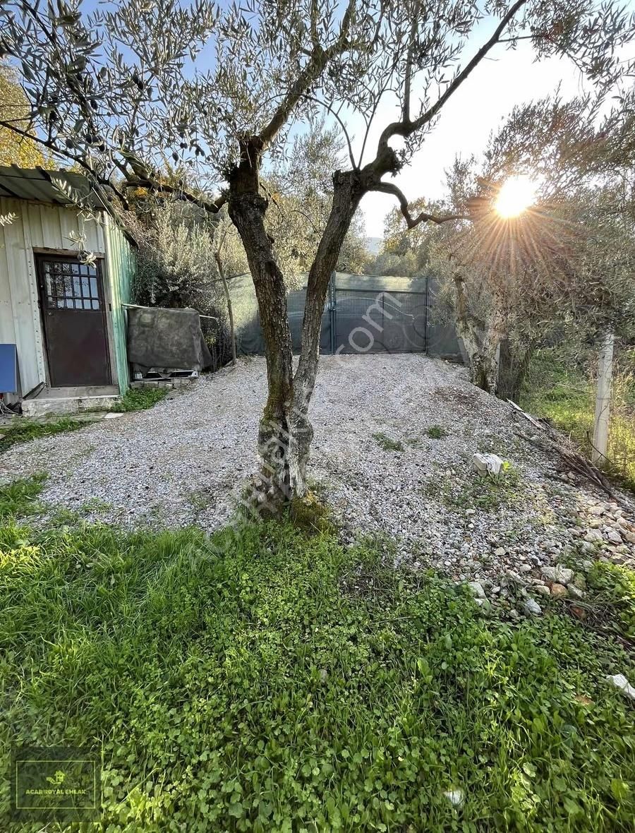 Acar Royal'den Gürlede Asfalt Kenarı Hobi Bahçesi - Görsel 24